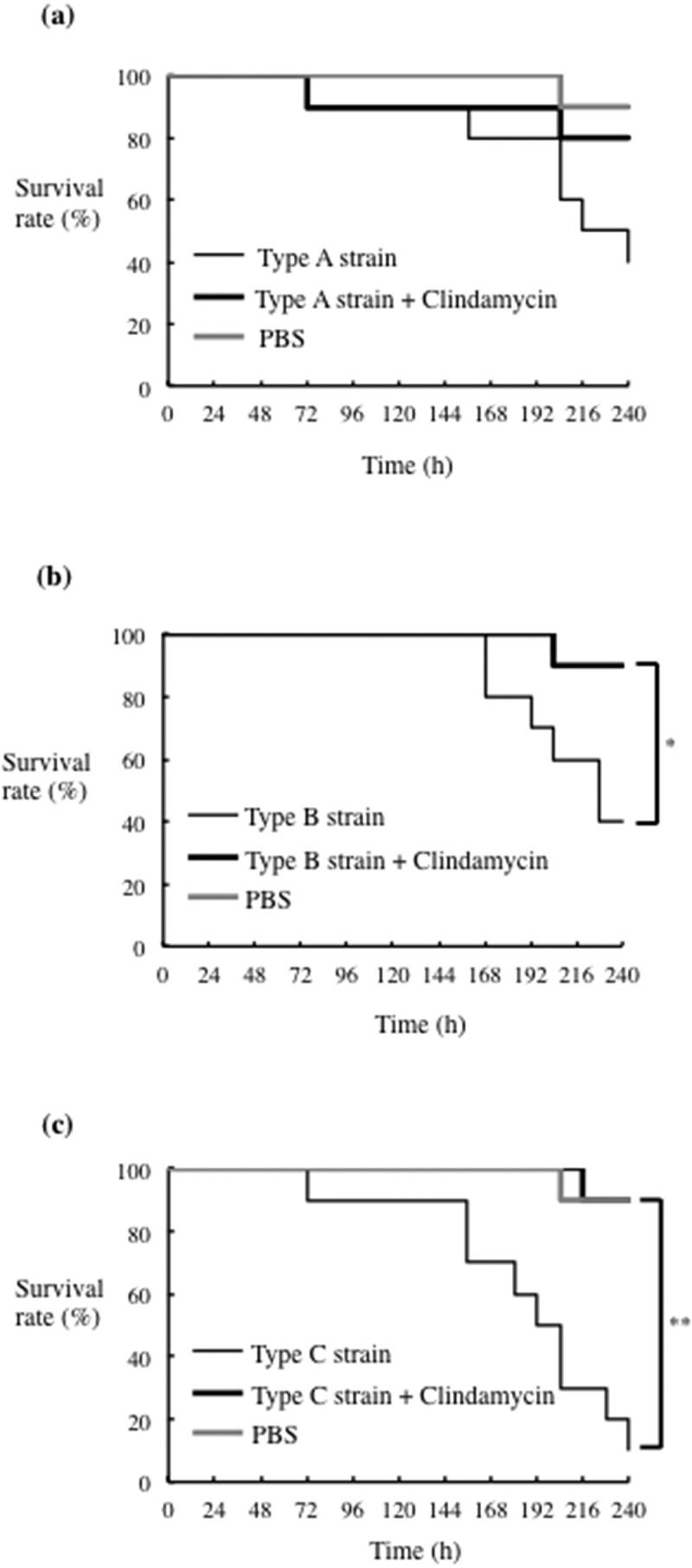 https://cdn.ncbi.nlm.nih.gov/pmc/blobs/b412/8079003/a308d3833819/ZJOM_A_1914499_F0006_B.jpg