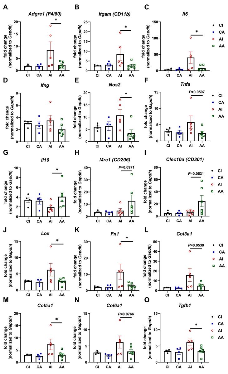 https://cdn.ncbi.nlm.nih.gov/pmc/blobs/b413/9918787/6b135b5003be/gr2.jpg