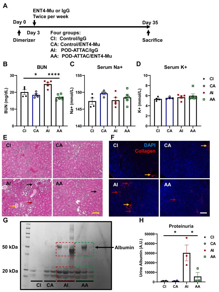 https://cdn.ncbi.nlm.nih.gov/pmc/blobs/b413/9918787/c5e3384f0f6a/gr1.jpg