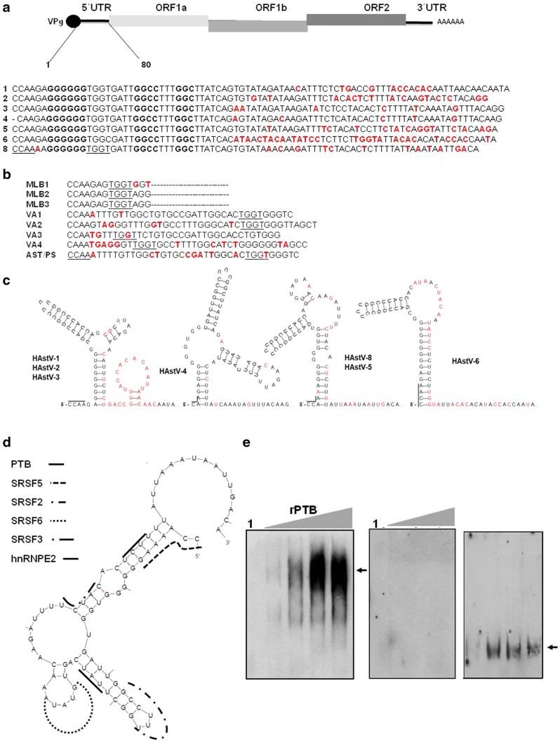 https://cdn.ncbi.nlm.nih.gov/pmc/blobs/b415/7089336/5f88d3ee1236/11033_2018_4498_Fig1_HTML.jpg