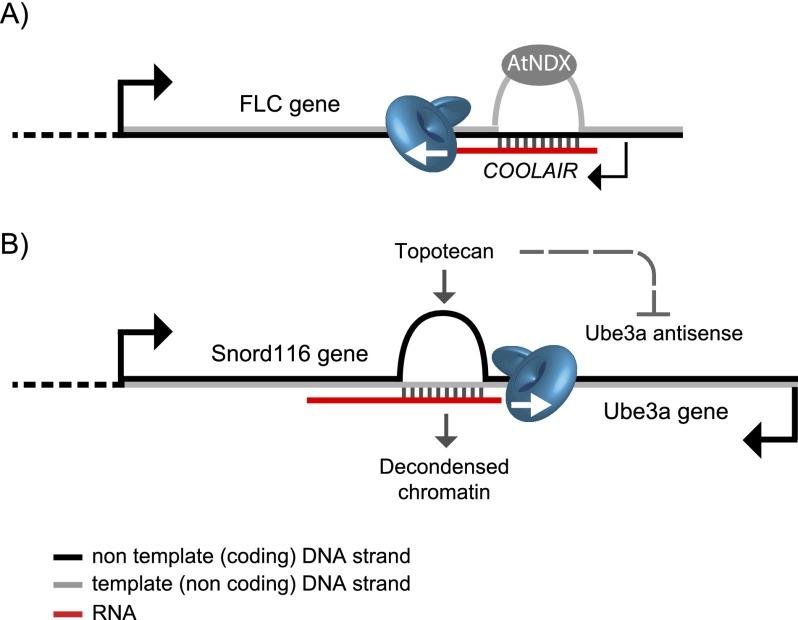 https://cdn.ncbi.nlm.nih.gov/pmc/blobs/b416/4083084/f76ec687a670/1384fig5.jpg