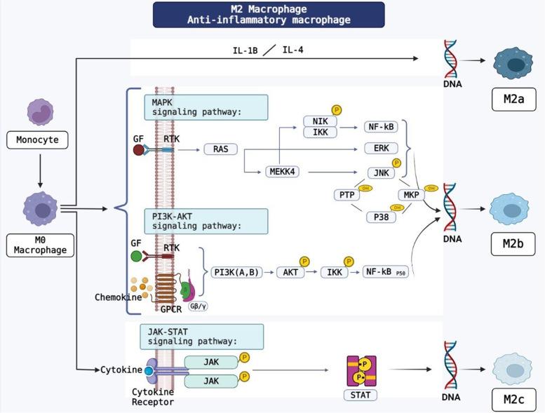 https://cdn.ncbi.nlm.nih.gov/pmc/blobs/b417/10227997/5e695a9acbc0/12964_2023_1153_Fig4_HTML.jpg