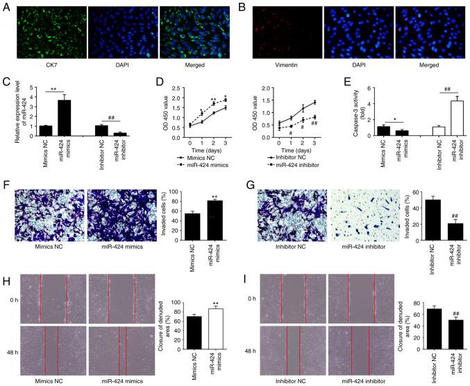 https://cdn.ncbi.nlm.nih.gov/pmc/blobs/b41b/10203755/06e582348aee/etm-25-06-11993-g01.jpg