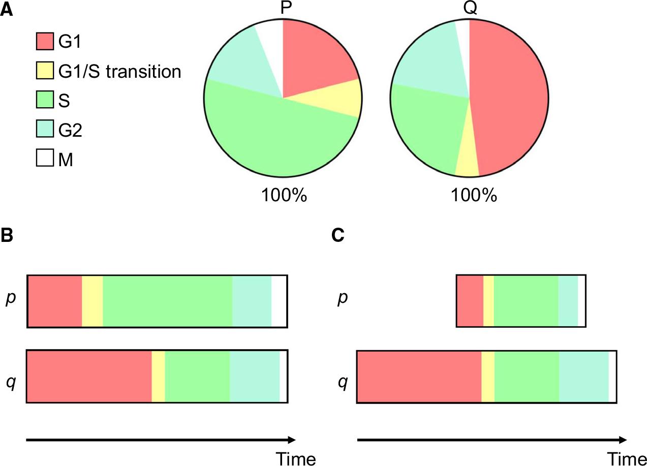 https://cdn.ncbi.nlm.nih.gov/pmc/blobs/b41b/9261528/7381b4c19395/nihms-1817637-f0001.jpg