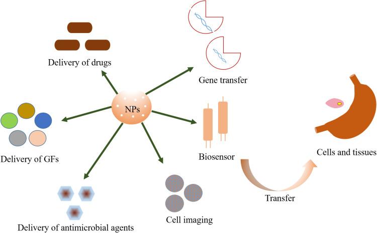 https://cdn.ncbi.nlm.nih.gov/pmc/blobs/b41c/7721306/d602d4850ecb/IJN-15-9717-g0005.jpg