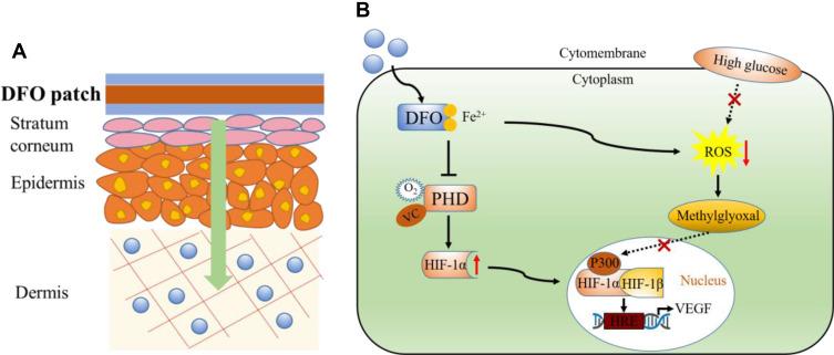 https://cdn.ncbi.nlm.nih.gov/pmc/blobs/b41c/7721306/df7dd16f0811/IJN-15-9717-g0004.jpg