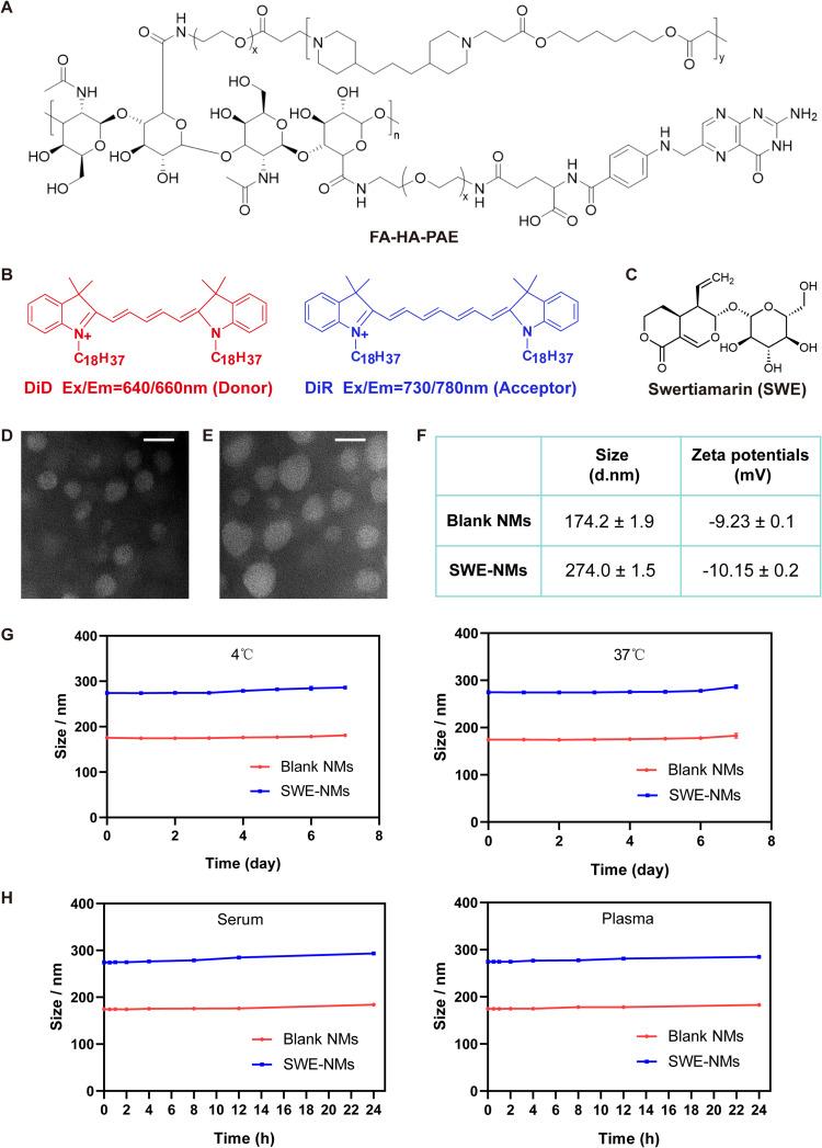 https://cdn.ncbi.nlm.nih.gov/pmc/blobs/b41e/12039933/287b64bee166/IJN-20-5353-g0002.jpg