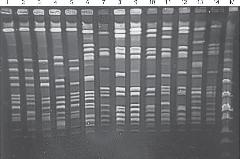 https://cdn.ncbi.nlm.nih.gov/pmc/blobs/b420/5586800/428a7b6cd886/mpp-0022-0535-g01.jpg