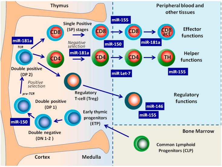 https://cdn.ncbi.nlm.nih.gov/pmc/blobs/b423/6271734/5b381b1f7c6a/molecules-19-14723-g003.jpg