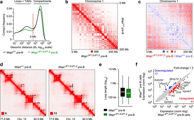 https://cdn.ncbi.nlm.nih.gov/pmc/blobs/b424/10121685/221665cbb213/41467_2023_37994_Fig2_HTML.jpg