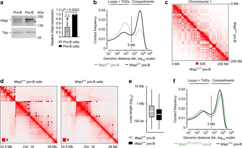 https://cdn.ncbi.nlm.nih.gov/pmc/blobs/b424/10121685/34125a9eca91/41467_2023_37994_Fig3_HTML.jpg
