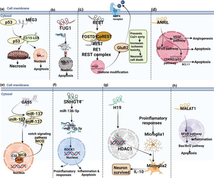 https://cdn.ncbi.nlm.nih.gov/pmc/blobs/b424/9585453/a996f4c26dfa/fimmu-13-930171-g003.jpg