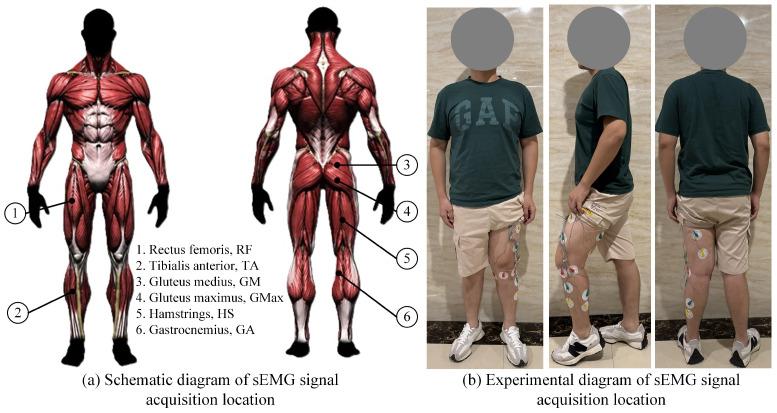 https://cdn.ncbi.nlm.nih.gov/pmc/blobs/b426/11821115/8fb064afbd4e/sensors-25-00713-g010.jpg