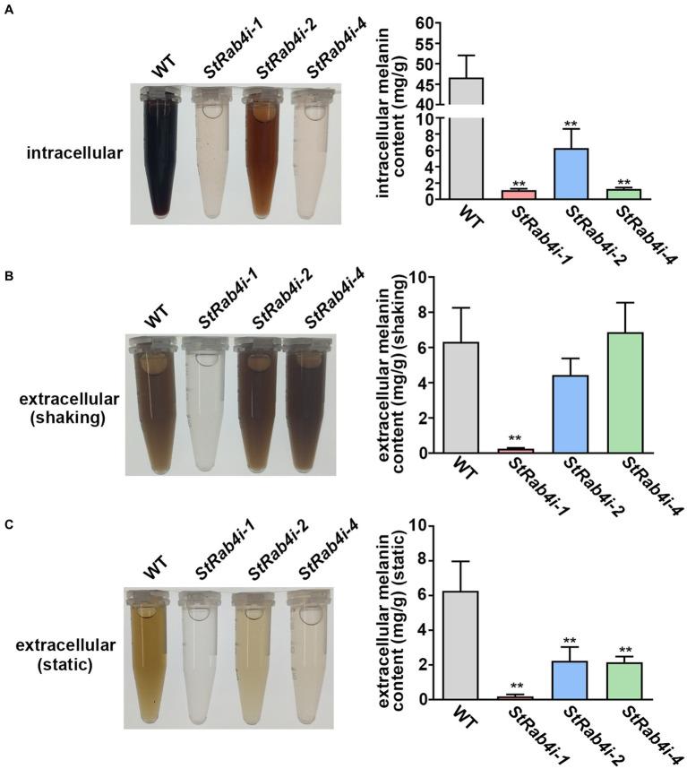 https://cdn.ncbi.nlm.nih.gov/pmc/blobs/b427/10804457/25960ffa43b9/fmicb-14-1302081-g005.jpg