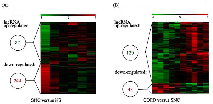 https://cdn.ncbi.nlm.nih.gov/pmc/blobs/b429/10687241/cdb52dc438e2/gr2.jpg