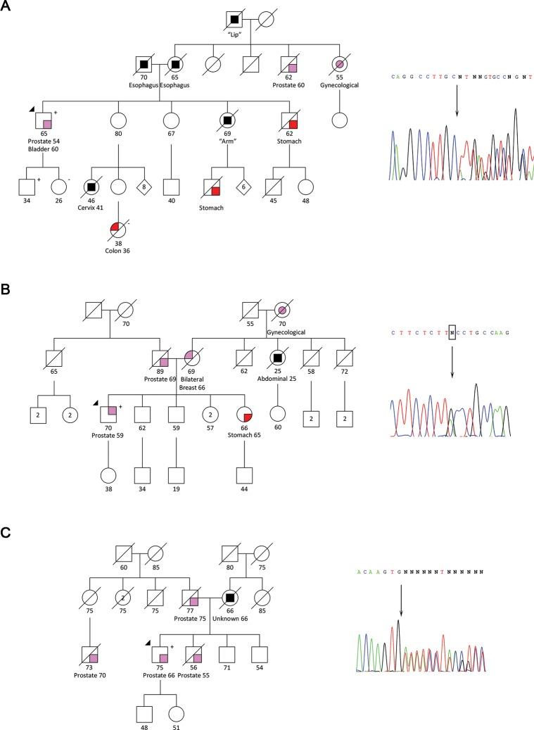 https://cdn.ncbi.nlm.nih.gov/pmc/blobs/b429/5919682/1b30a8882223/pgen.1007355.g002.jpg