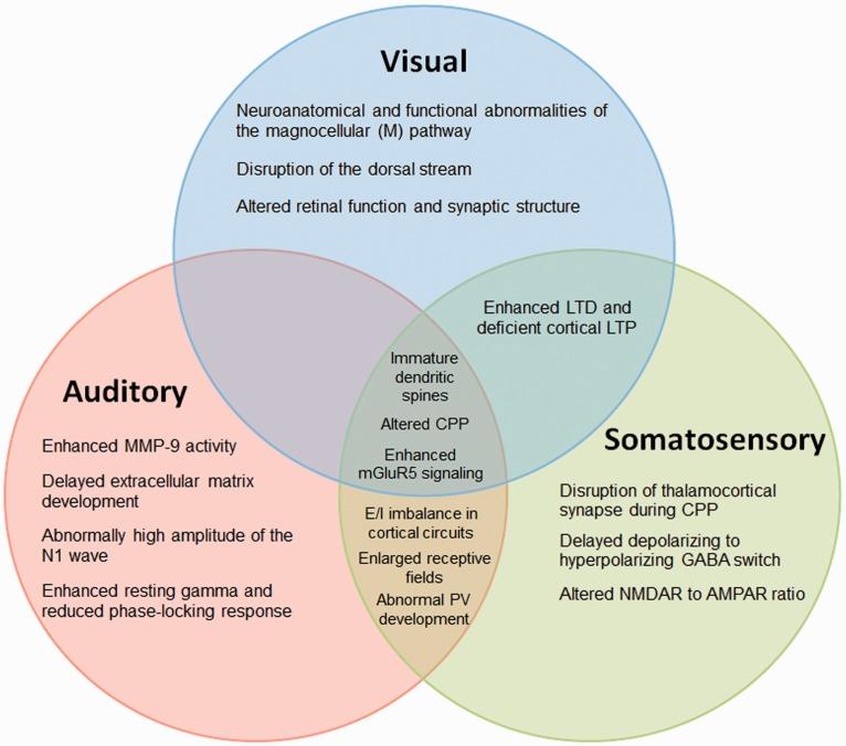 https://cdn.ncbi.nlm.nih.gov/pmc/blobs/b42a/6149018/9742464bbad2/10.1177_1759091418801092-fig2.jpg