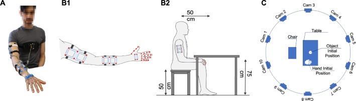 https://cdn.ncbi.nlm.nih.gov/pmc/blobs/b42b/7218840/bbbd25f36768/12984_2020_680_Fig2_HTML.jpg