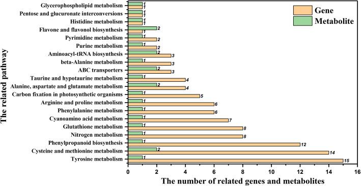 https://cdn.ncbi.nlm.nih.gov/pmc/blobs/b42b/7457814/f49f047f2894/12864_2020_7017_Fig5_HTML.jpg