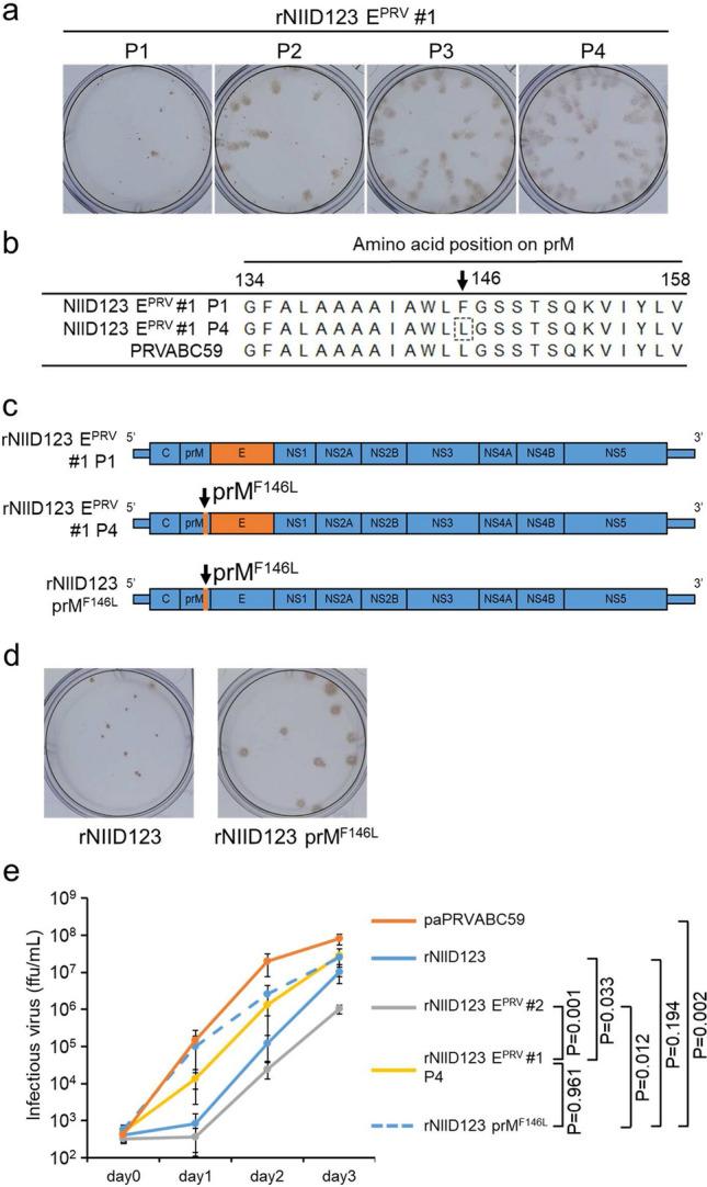 https://cdn.ncbi.nlm.nih.gov/pmc/blobs/b42b/8490429/12b1b7bc19f0/41598_2021_99086_Fig4_HTML.jpg