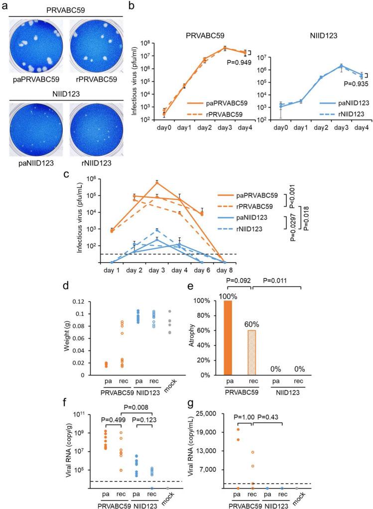 https://cdn.ncbi.nlm.nih.gov/pmc/blobs/b42b/8490429/597ffdab17aa/41598_2021_99086_Fig2_HTML.jpg