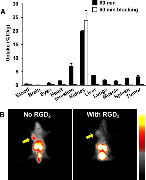 https://cdn.ncbi.nlm.nih.gov/pmc/blobs/b42c/4166031/8899d4c0f837/bc-2014-00309r_0008.jpg