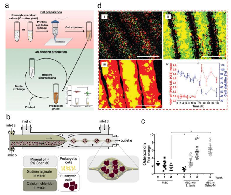 https://cdn.ncbi.nlm.nih.gov/pmc/blobs/b42c/8955662/69d075749097/ijms-23-02955-g010.jpg
