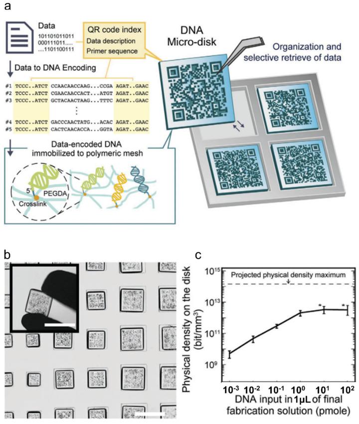 https://cdn.ncbi.nlm.nih.gov/pmc/blobs/b42c/8955662/f69f2cd18add/ijms-23-02955-g004.jpg