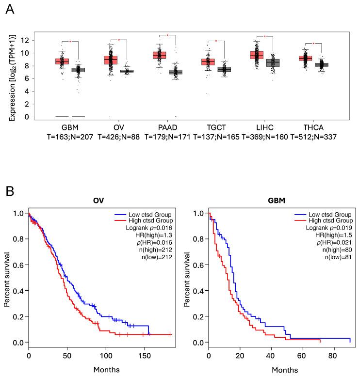 https://cdn.ncbi.nlm.nih.gov/pmc/blobs/b42e/11763575/1052fdc48ddb/cells-14-00068-g004.jpg