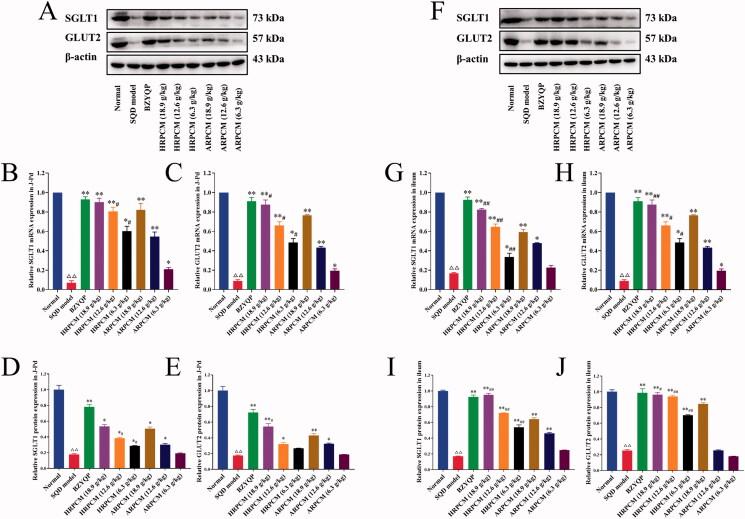 https://cdn.ncbi.nlm.nih.gov/pmc/blobs/b42e/9246251/1d004176810f/IPHB_A_2086990_F0009_C.jpg
