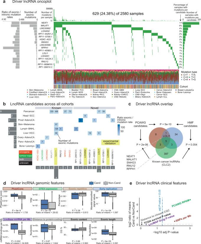 https://cdn.ncbi.nlm.nih.gov/pmc/blobs/b42f/10250536/276b007a2ce8/41467_2023_39160_Fig3_HTML.jpg