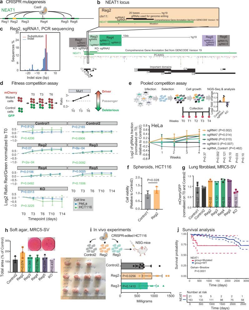https://cdn.ncbi.nlm.nih.gov/pmc/blobs/b42f/10250536/68c2b2547342/41467_2023_39160_Fig5_HTML.jpg
