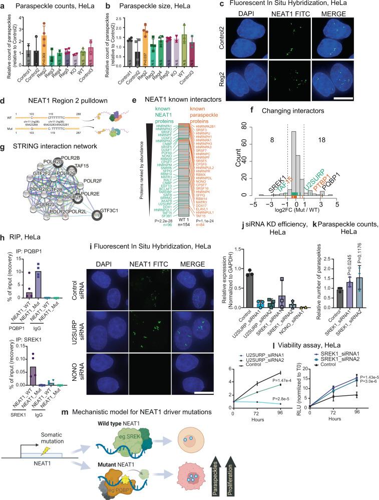 https://cdn.ncbi.nlm.nih.gov/pmc/blobs/b42f/10250536/c6bcf5eb6851/41467_2023_39160_Fig6_HTML.jpg