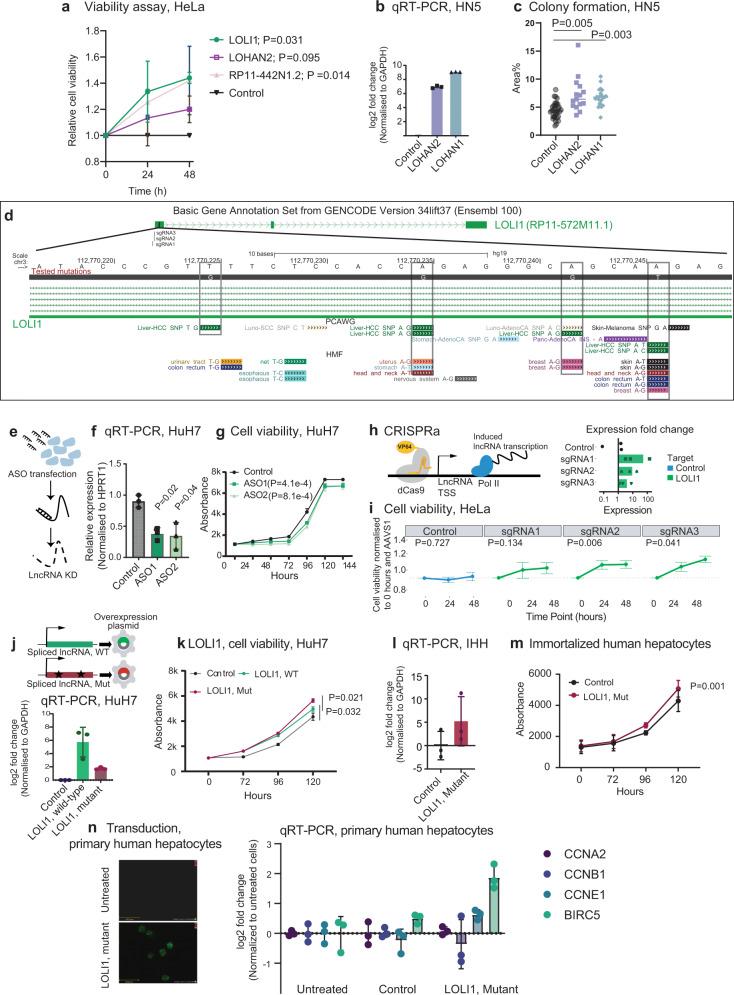 https://cdn.ncbi.nlm.nih.gov/pmc/blobs/b42f/10250536/cd9f63e31f03/41467_2023_39160_Fig4_HTML.jpg