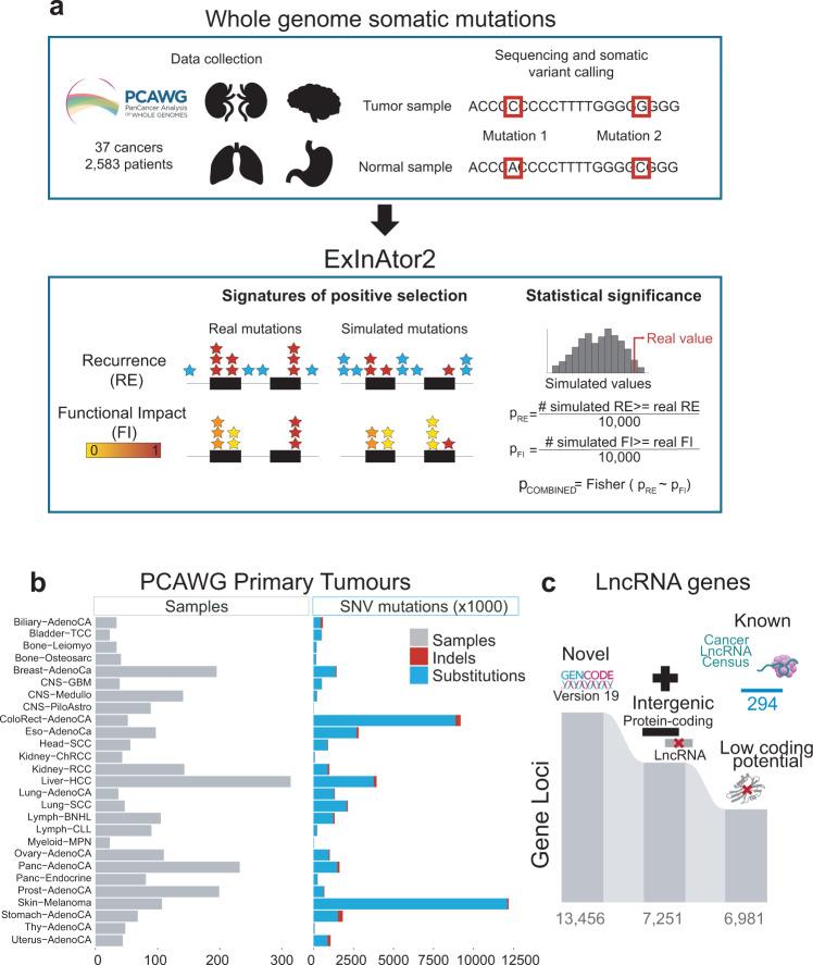https://cdn.ncbi.nlm.nih.gov/pmc/blobs/b42f/10250536/ce8f74148deb/41467_2023_39160_Fig1_HTML.jpg