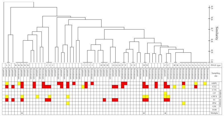 https://cdn.ncbi.nlm.nih.gov/pmc/blobs/b431/8152993/131f1e1de3c1/antibiotics-10-00575-g003.jpg