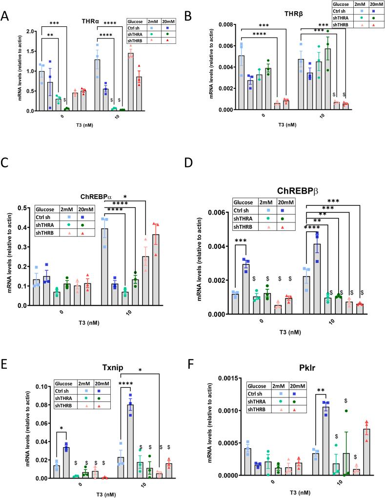 https://cdn.ncbi.nlm.nih.gov/pmc/blobs/b431/9731891/aea4128aefdc/gr2.jpg