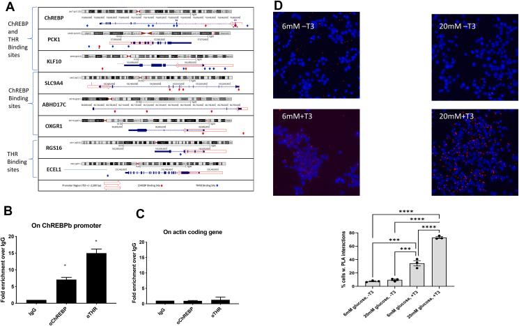 https://cdn.ncbi.nlm.nih.gov/pmc/blobs/b431/9731891/b350f891f9e3/gr5.jpg