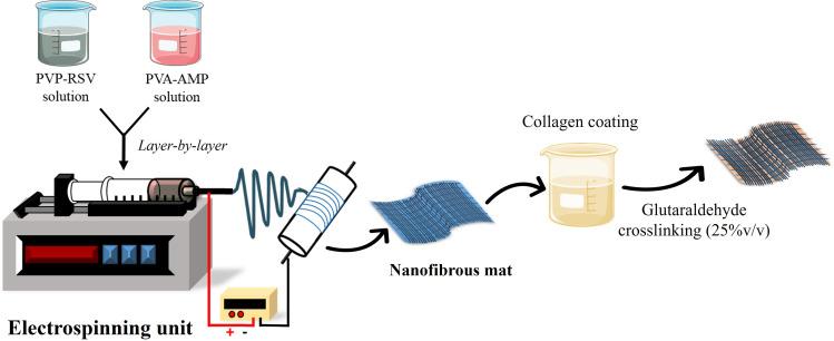 https://cdn.ncbi.nlm.nih.gov/pmc/blobs/b432/11164821/bace5b22177b/IJN-19-5397-g0002.jpg