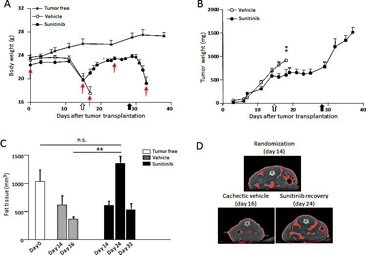 https://cdn.ncbi.nlm.nih.gov/pmc/blobs/b433/4413636/1cd576aee8a0/oncotarget-06-3043-g005.jpg