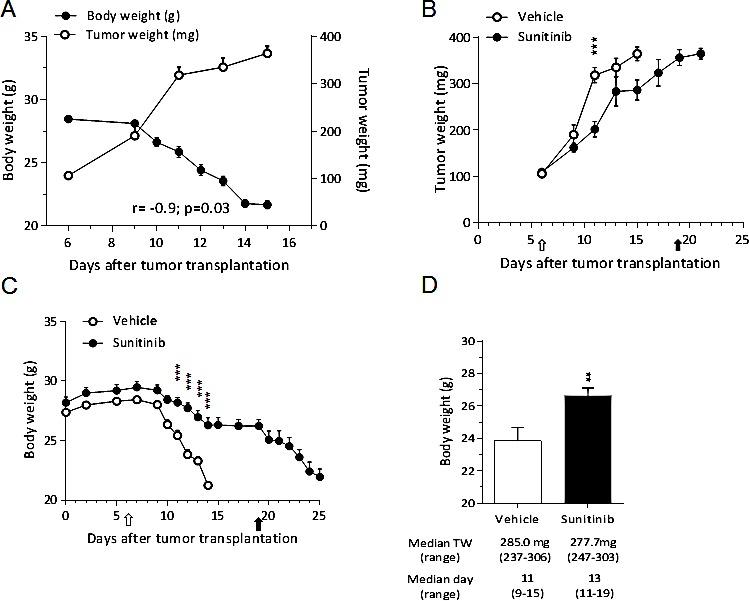https://cdn.ncbi.nlm.nih.gov/pmc/blobs/b433/4413636/38a7c9595c18/oncotarget-06-3043-g004.jpg