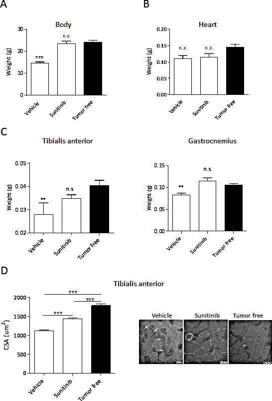 https://cdn.ncbi.nlm.nih.gov/pmc/blobs/b433/4413636/86b823193f20/oncotarget-06-3043-g003.jpg