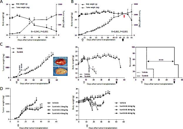 https://cdn.ncbi.nlm.nih.gov/pmc/blobs/b433/4413636/b692314a45c6/oncotarget-06-3043-g001.jpg