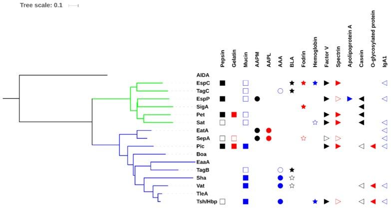 https://cdn.ncbi.nlm.nih.gov/pmc/blobs/b434/6956023/70bda870e8a7/microorganisms-07-00594-g004.jpg