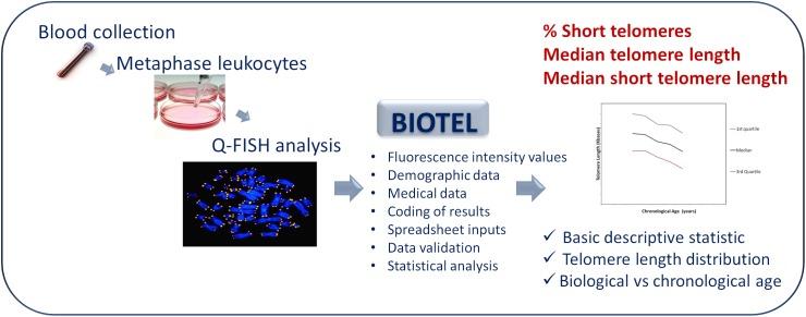 https://cdn.ncbi.nlm.nih.gov/pmc/blobs/b436/6389611/f60c76703922/fgene-10-00084-g001.jpg