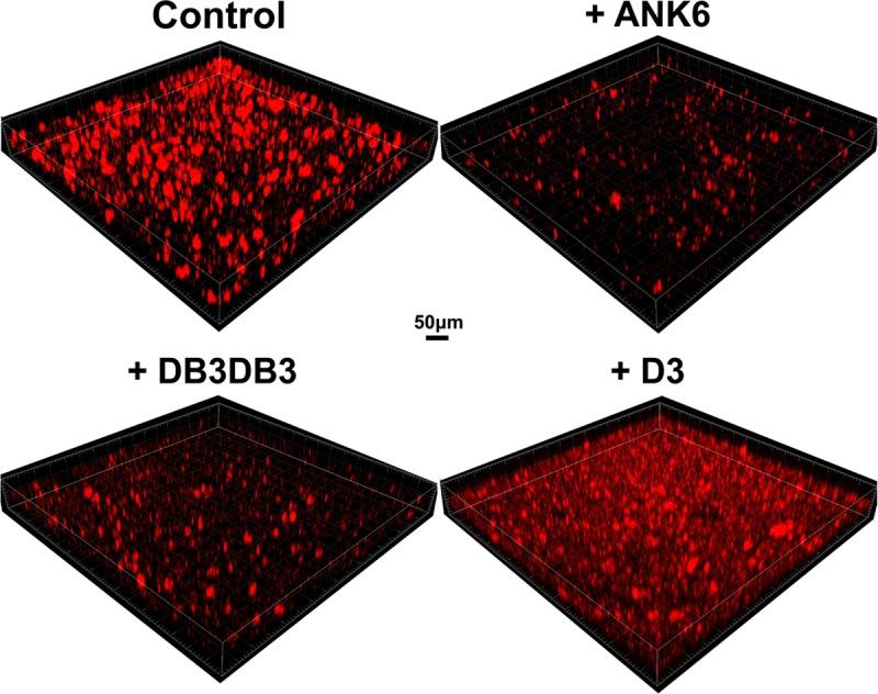 https://cdn.ncbi.nlm.nih.gov/pmc/blobs/b437/6748439/930365d5b7f0/ppat.1007978.g005.jpg