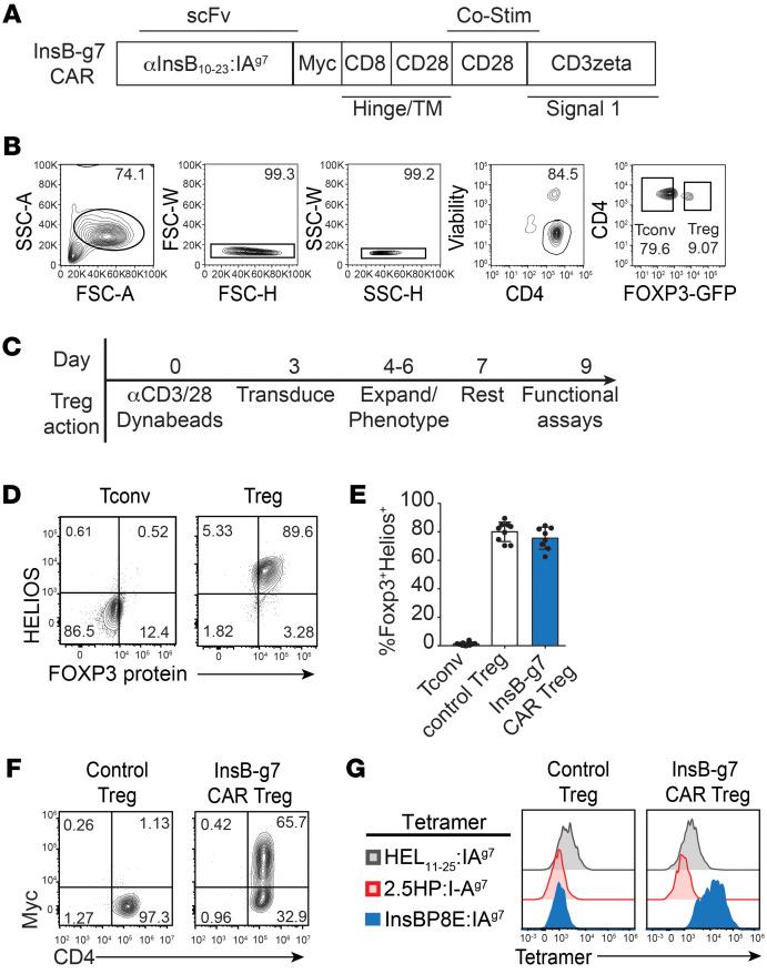 https://cdn.ncbi.nlm.nih.gov/pmc/blobs/b438/10503798/23a9c3f3cf95/jci-133-168601-g249.jpg