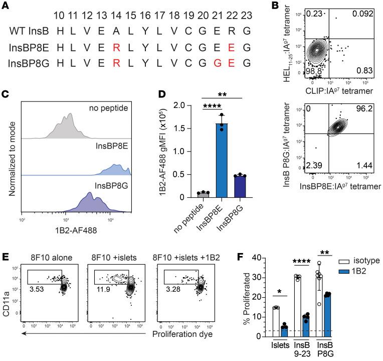 https://cdn.ncbi.nlm.nih.gov/pmc/blobs/b438/10503798/815585964390/jci-133-168601-g248.jpg