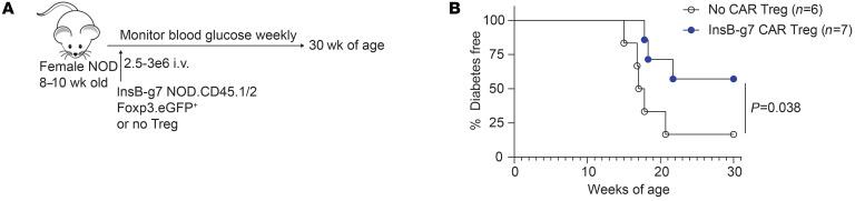 https://cdn.ncbi.nlm.nih.gov/pmc/blobs/b438/10503798/8fd5e4fdf32f/jci-133-168601-g254.jpg