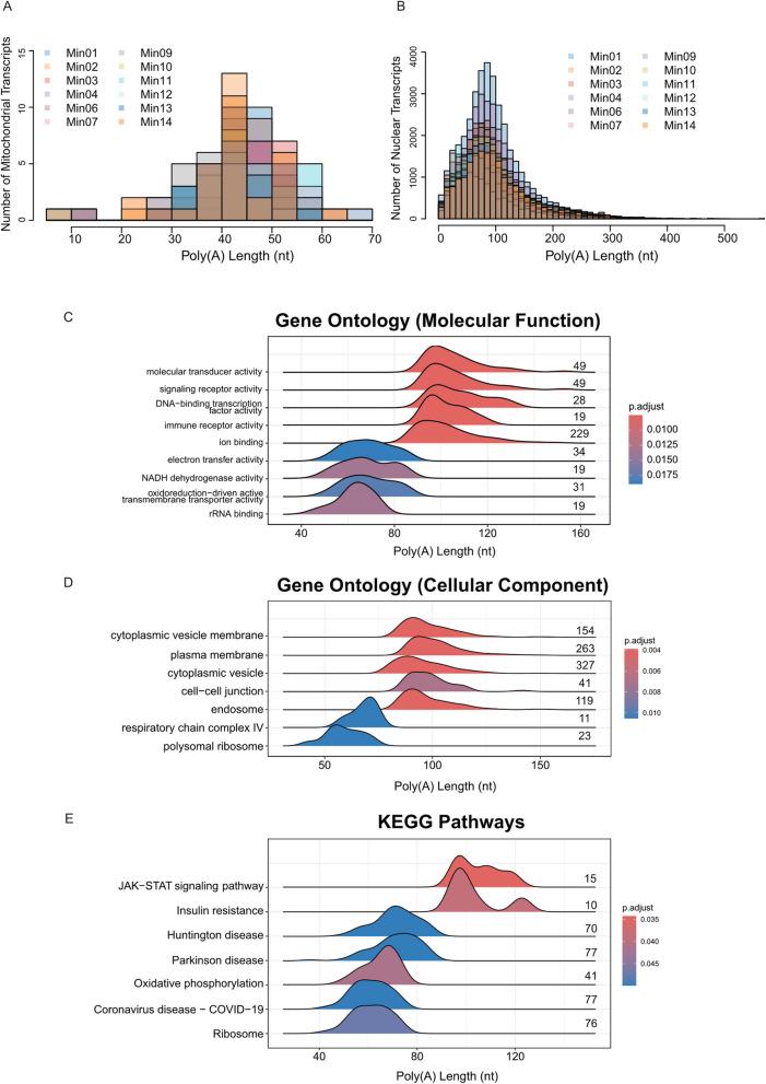 https://cdn.ncbi.nlm.nih.gov/pmc/blobs/b438/12070577/9ab17e4f74ba/12879_2025_11078_Fig2_HTML.jpg